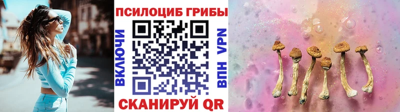 сколько стоит Свирск Псилоцибиновые грибы Psilocybe
